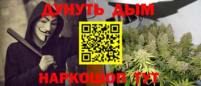 сатива Камышлов